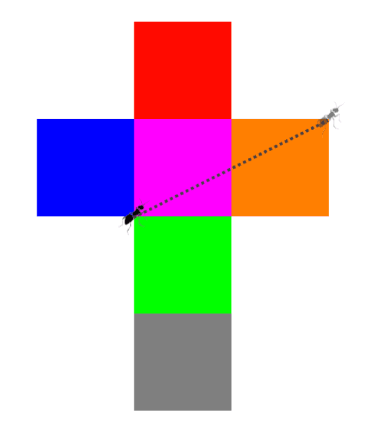 triangle inequality solution