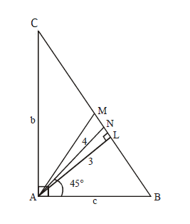 Triangle Problem