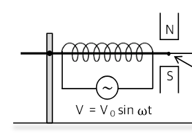 Figure for Question 51